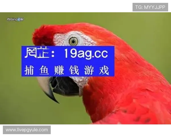 揭秘AG捕鱼游戏中的隐藏奖励与特殊道具，增加获胜几率