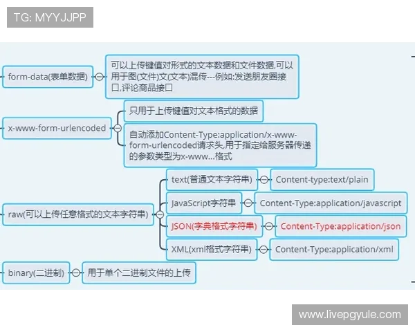 ag靠谱网站的安全认证流程与用户权益保护措施全面解析