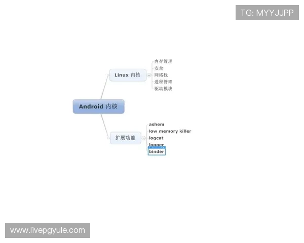 如何在安卓和苹果设备上安全下载AG视讯官网应用程序指南 如何在安卓和苹果设备上安全下载AG视讯官网应用程序指南